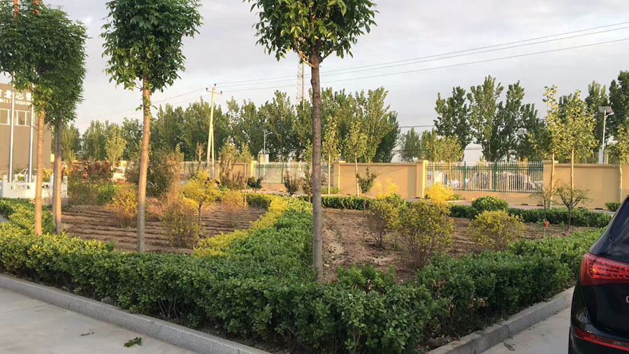 20230426/d9cdfab40c6ad9109c04dd9e773035bf.jpg 20230426/d9cdfab40c6ad9109c04dd9e773035bf.jpg